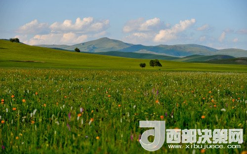錫林郭勒草原。吳勇攝