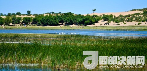 阿魯科爾沁保護(hù)區(qū)濕地沙丘。吳勇攝