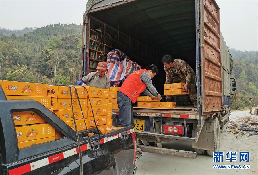 （決戰(zhàn)決勝脫貧攻堅(jiān)·圖文互動）（6）另一種“逆行”——廣西5300余名駐村第一書記提前返崗?fù)渡怼皟删€作戰(zhàn)”