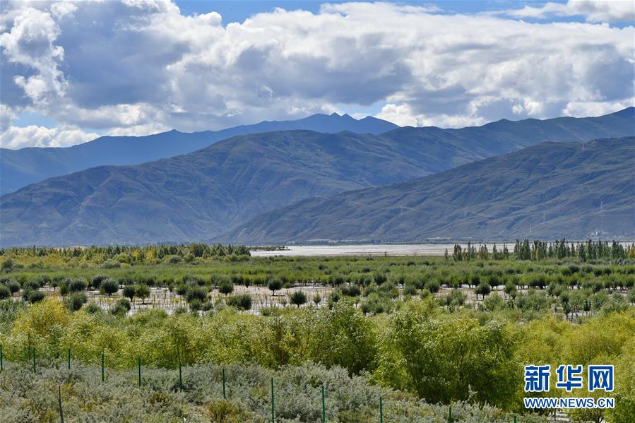 （圖文互動(dòng)）（4）“今天的生活，就像夢里夢到那樣甜”——寫在西藏百萬農(nóng)奴解放61周年之際