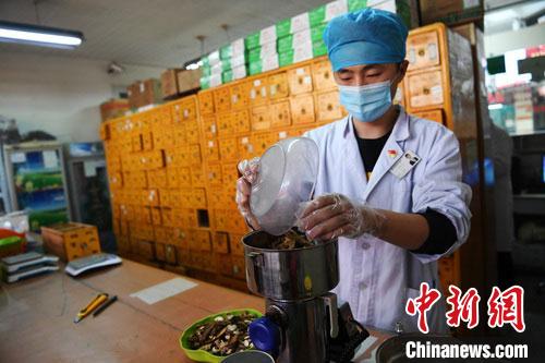 疫情發(fā)生以來，甘肅確保所有病例盡早、及時(shí)、全程使用中醫(yī)中藥，努力做到“一患一方案”。(資料圖) 楊艷敏 攝