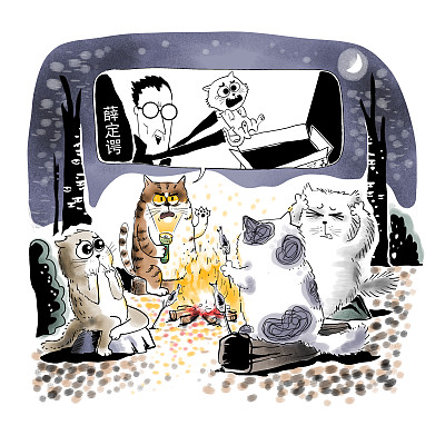 ▲物理學(xué)家薛定諤曾用一只貓比喻量子疊加。圖片來源：視覺中國